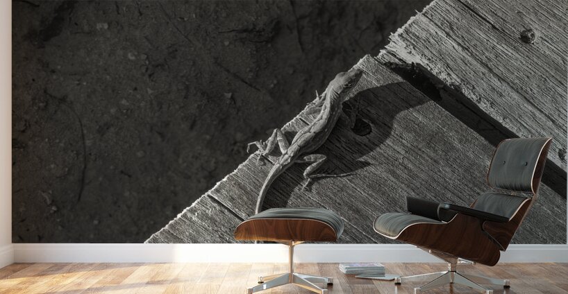 Gecko Anole on boardwalk in BW Wall Murals
