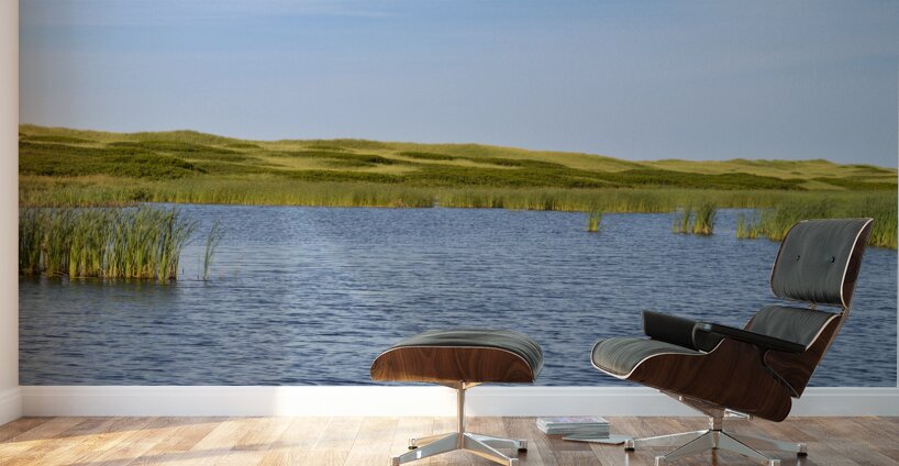 Greenwich grass dune on sky background Wall Murals