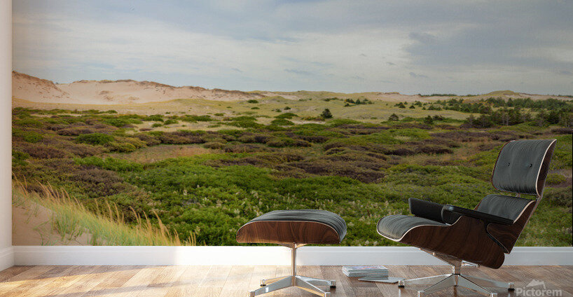 Greenwich dunes and wetlands Wall Murals