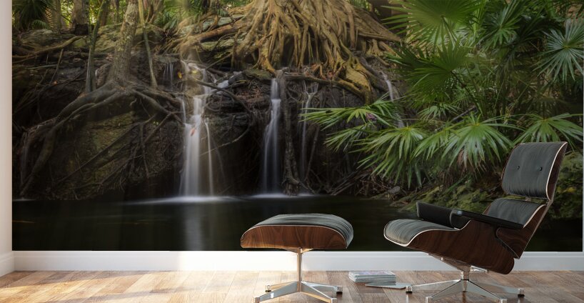 Jungle tree waterfall sunrays Wall Murals