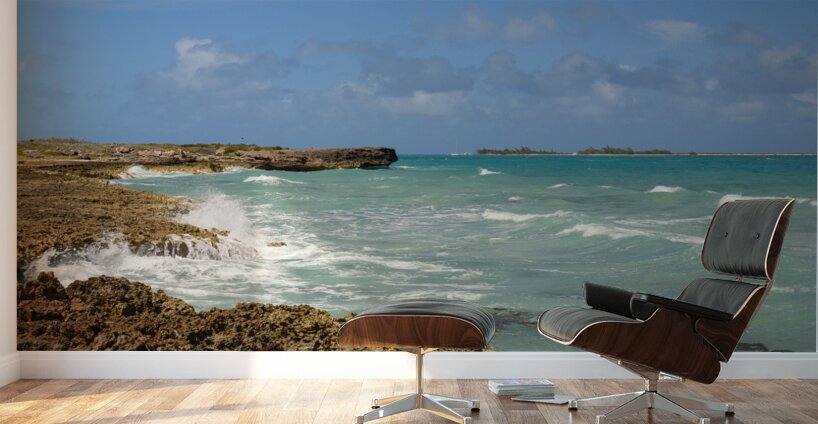 Cuban coral shore ocean view Wall Murals