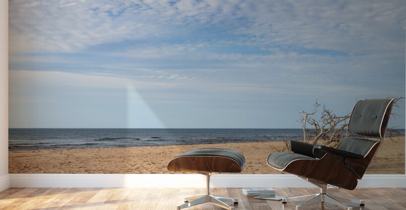 Greenwich driftwood art 3 Wall Murals