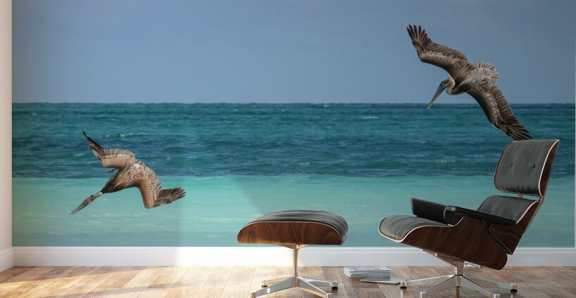 Pelican Cuban 4 Cuba Wall Murals