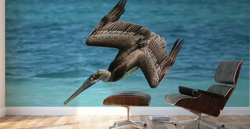 Pelican Cuban 14 Wall Murals