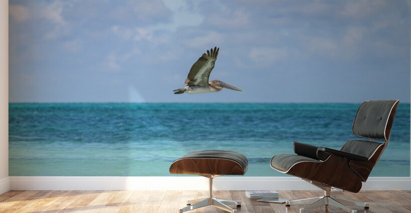 Pelican Cuban 12 Cuba Wall Murals