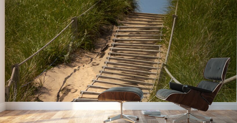 Pathway over the dunes to the beach. Wall Murals