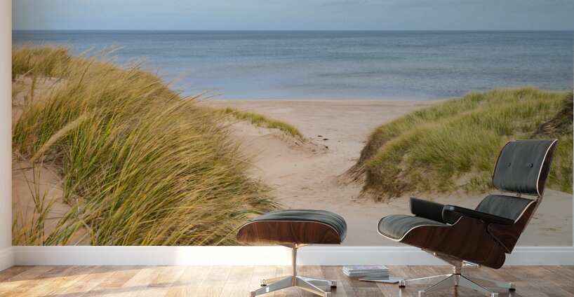 PEI sand dune beach view Wall Murals