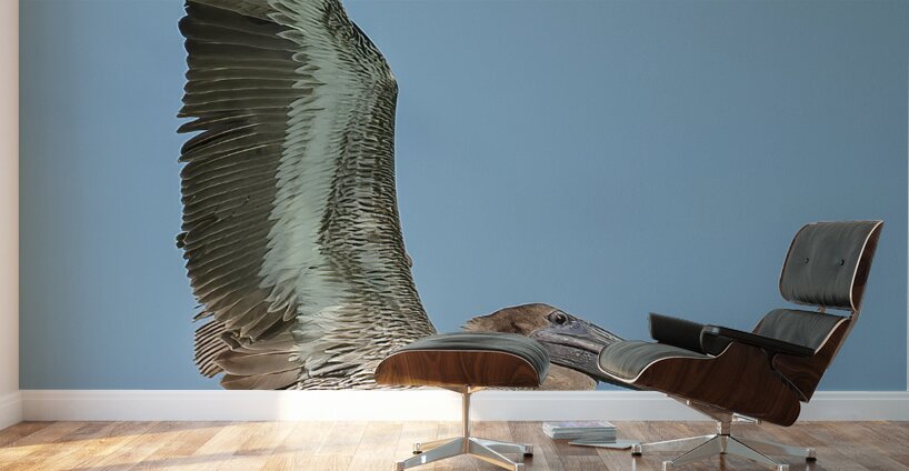 Pelican Cuban 15 Wall Murals