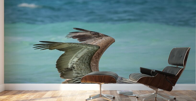Pelican Cuban 7 Wall Murals