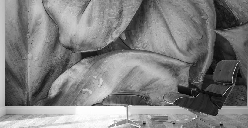 Wet Jungle Leaves closeup BW Wall Murals