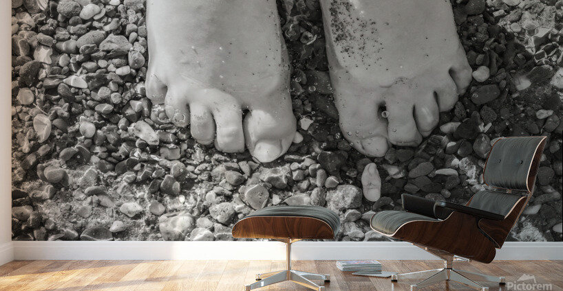 Toes in the Water BW Wall Murals