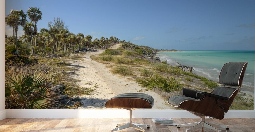 Walk on Cuban Dunes Ocean Wall Murals