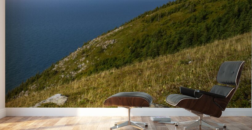 Skyline trail Cape Breton Hills Wall Murals