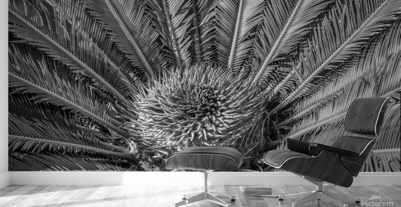 tropical plant centre-bw Wall Murals