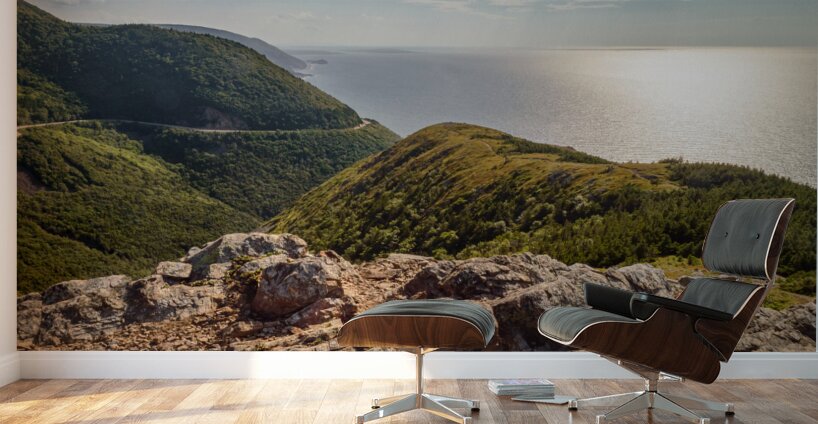 Skyline Trail lookout 2 Wall Murals