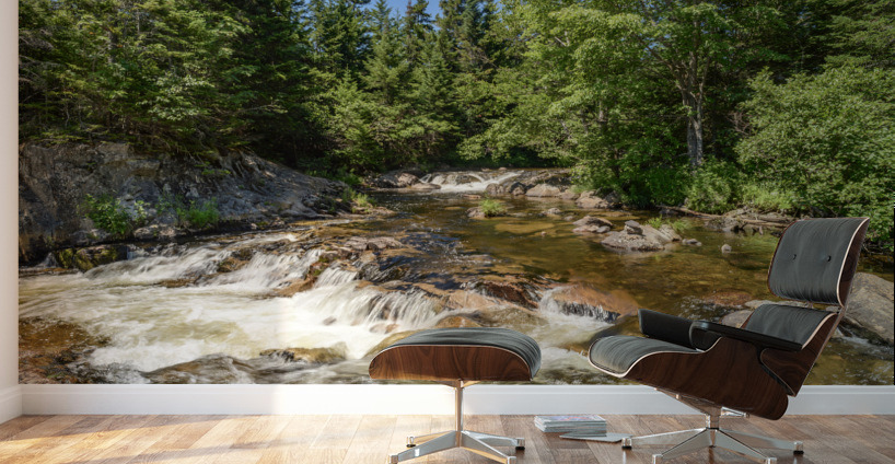 Ledge Falls Nesowadnehunk stream Wall Murals