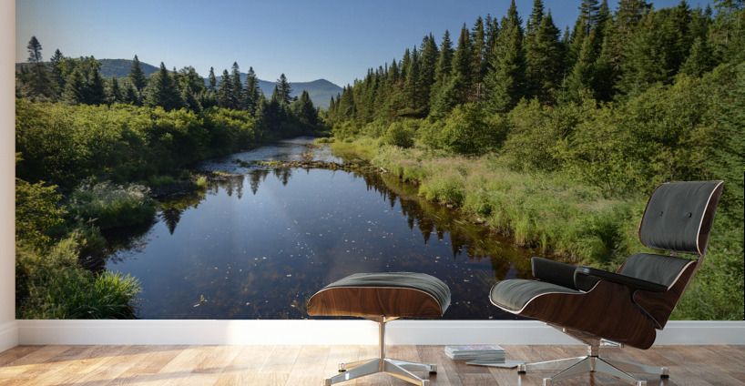 Mount Katahdin campsite Nesowadnehunk river Wall Murals