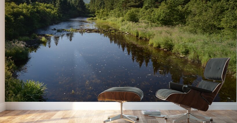 Mount Katahdin campsite Nesowadnehunk river 2 Wall Murals