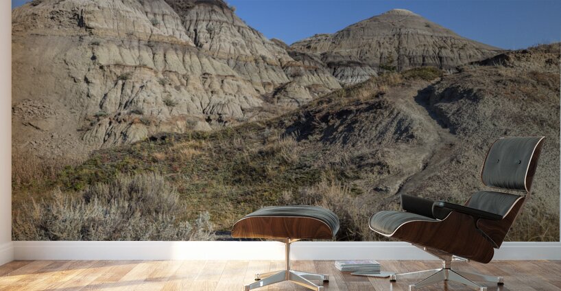 horseshoe canyon 2456 Wall Murals