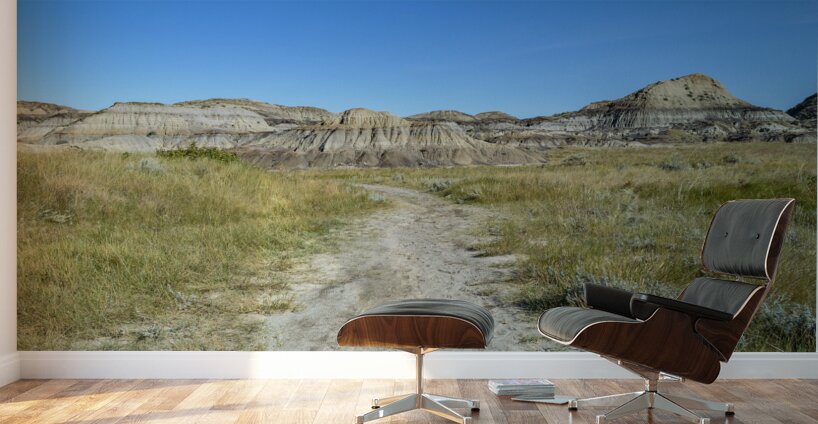 horseshoe canyon path 1540 Wall Murals