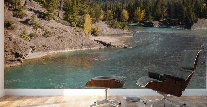 bow river bend 2 2624 Wall Murals