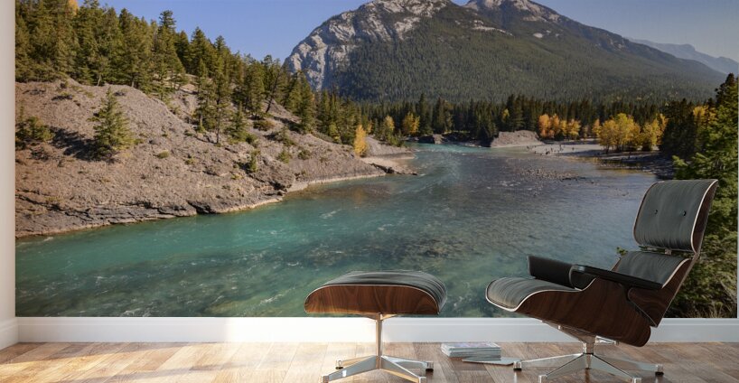 bow river bend 2621 Wall Murals