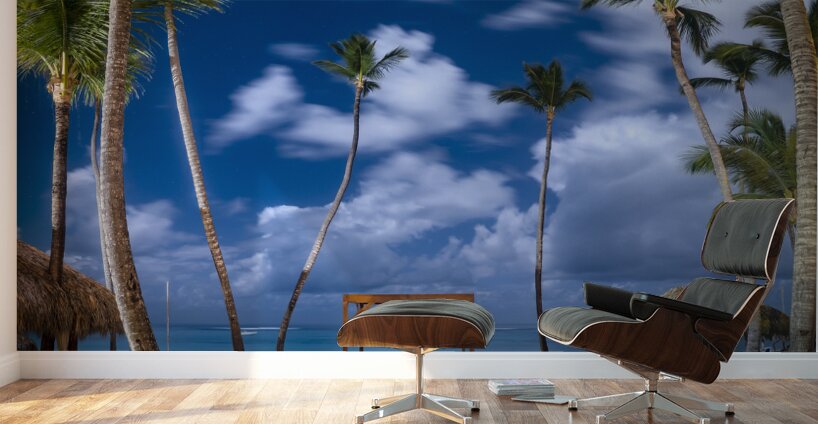 dominican beach night 3 Wall Murals