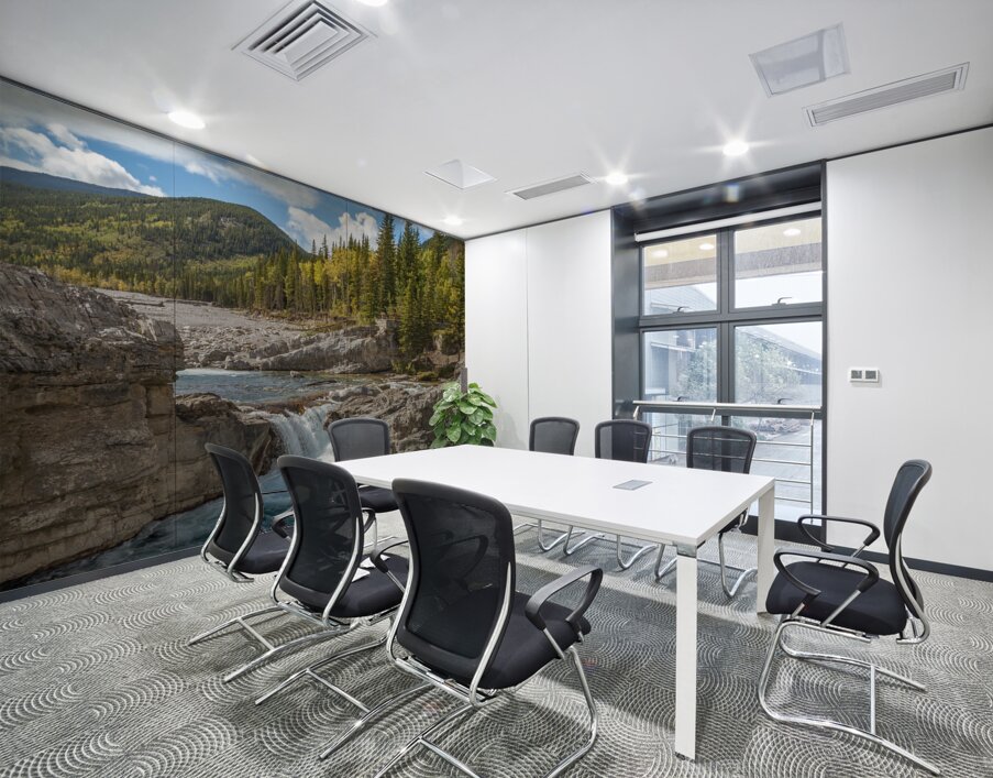 Elbow Falls Alberta 2 Wall Printing