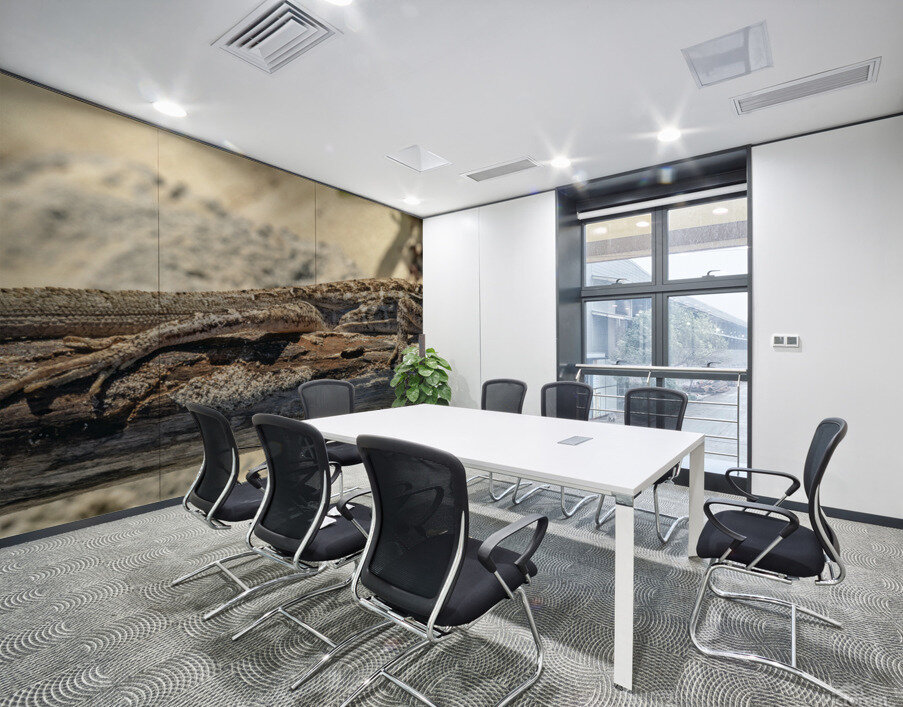 Cuban brown anole on branch Wall Printing
