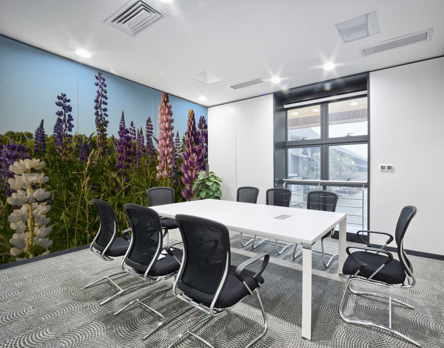 Colourful Lupins in Bloom 4 Wall Printing