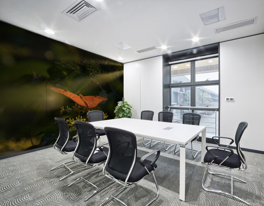 orange butterfly sunrays Wall Printing