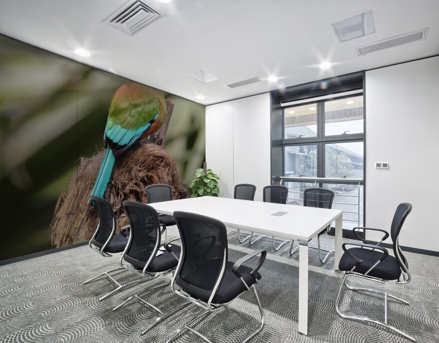 Mot Mot  Clock bird Wall Printing