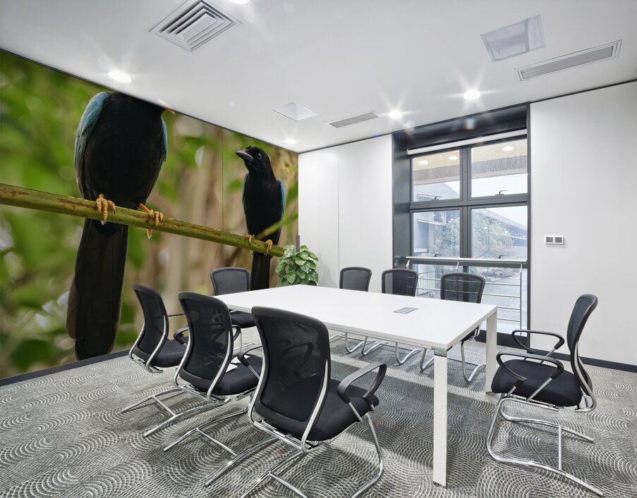 Two Yucatan Blue Jays Wall Printing