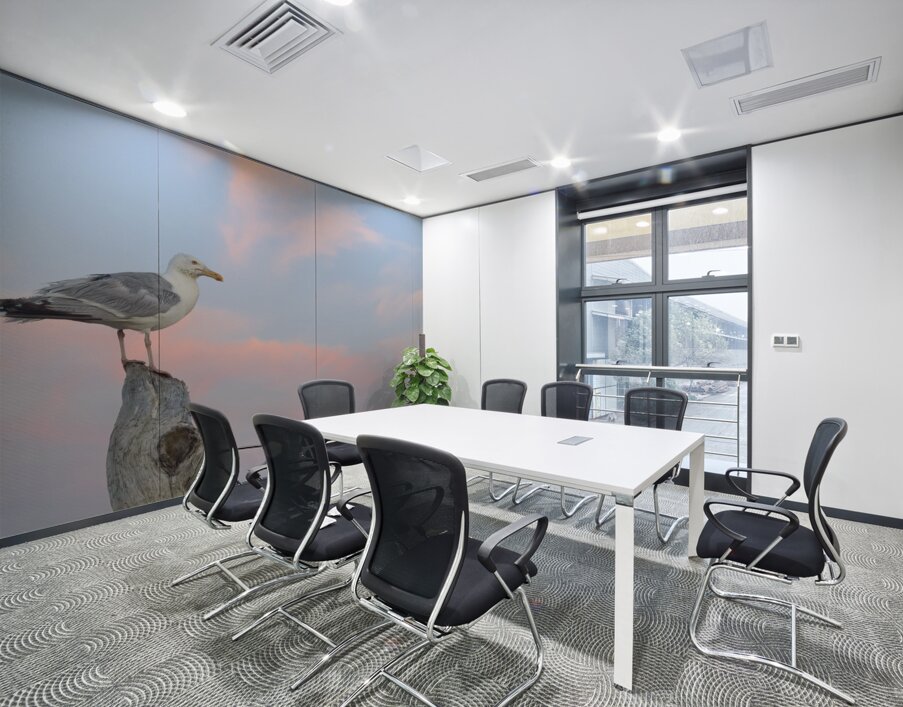 Seagull beautiful sky Wall Printing