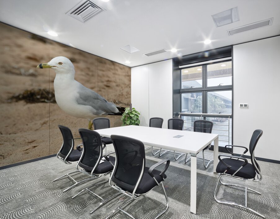 Seagull walking on beach sand Wall Printing