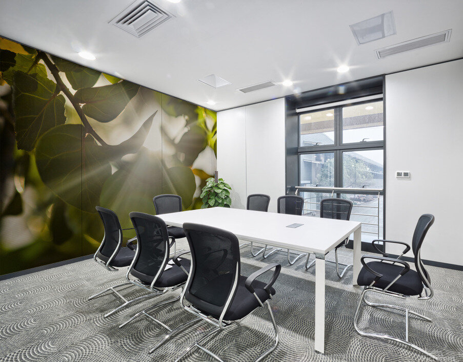 sun rays through leaves Wall Printing
