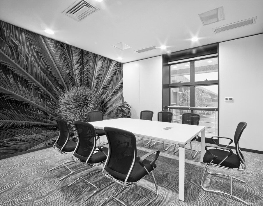 tropical plant centre-bw Wall Printing