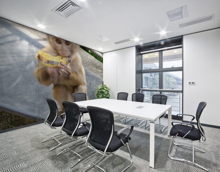 Baby Thai monkey banana Wall Printing