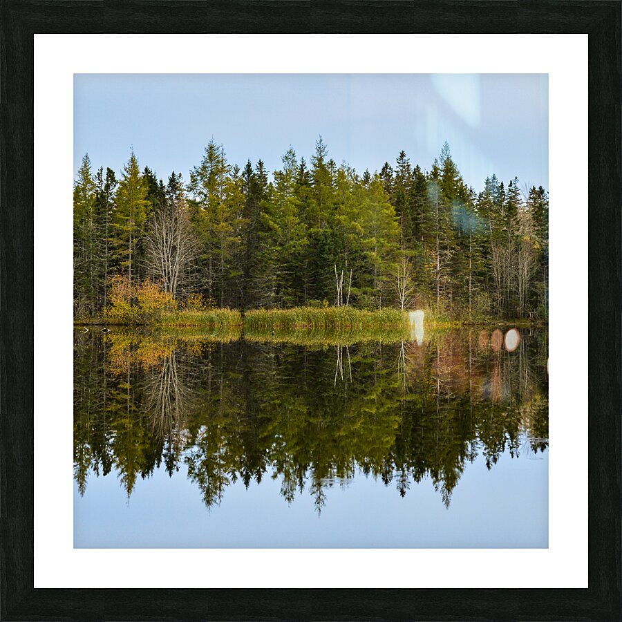 Bird sanctuary pond reflection Picture Frame print