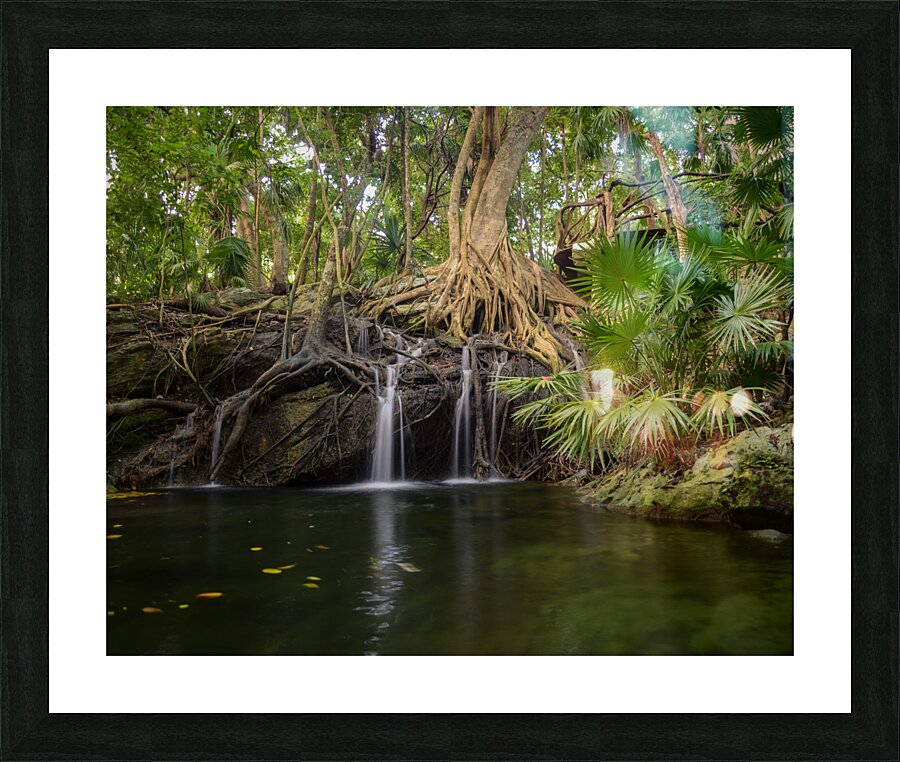 jungle tree waterfall 2 Picture Frame print