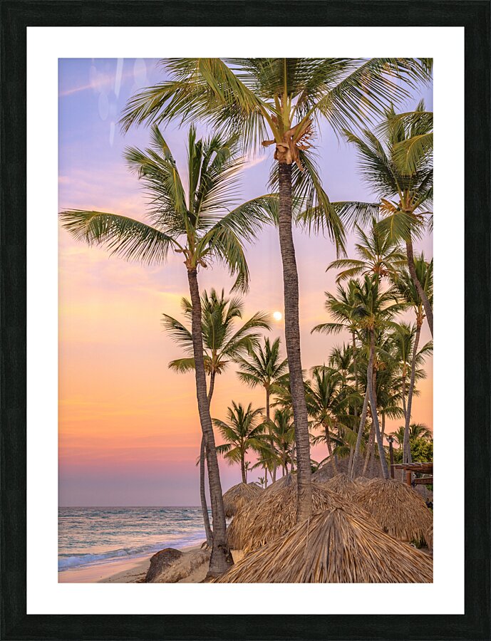 Palmtrees on coloured sky with moon Picture Frame print