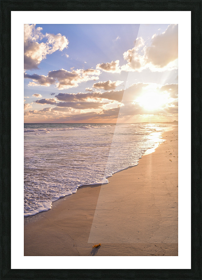 Cuban beach sunrise tiny seaweed Picture Frame print