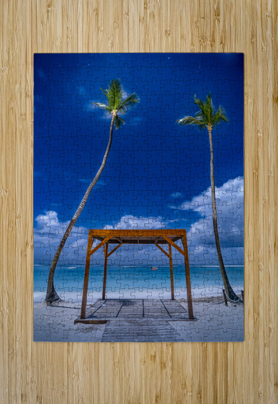 palmtrees beach night Justin Richard Batten Puzzle printing