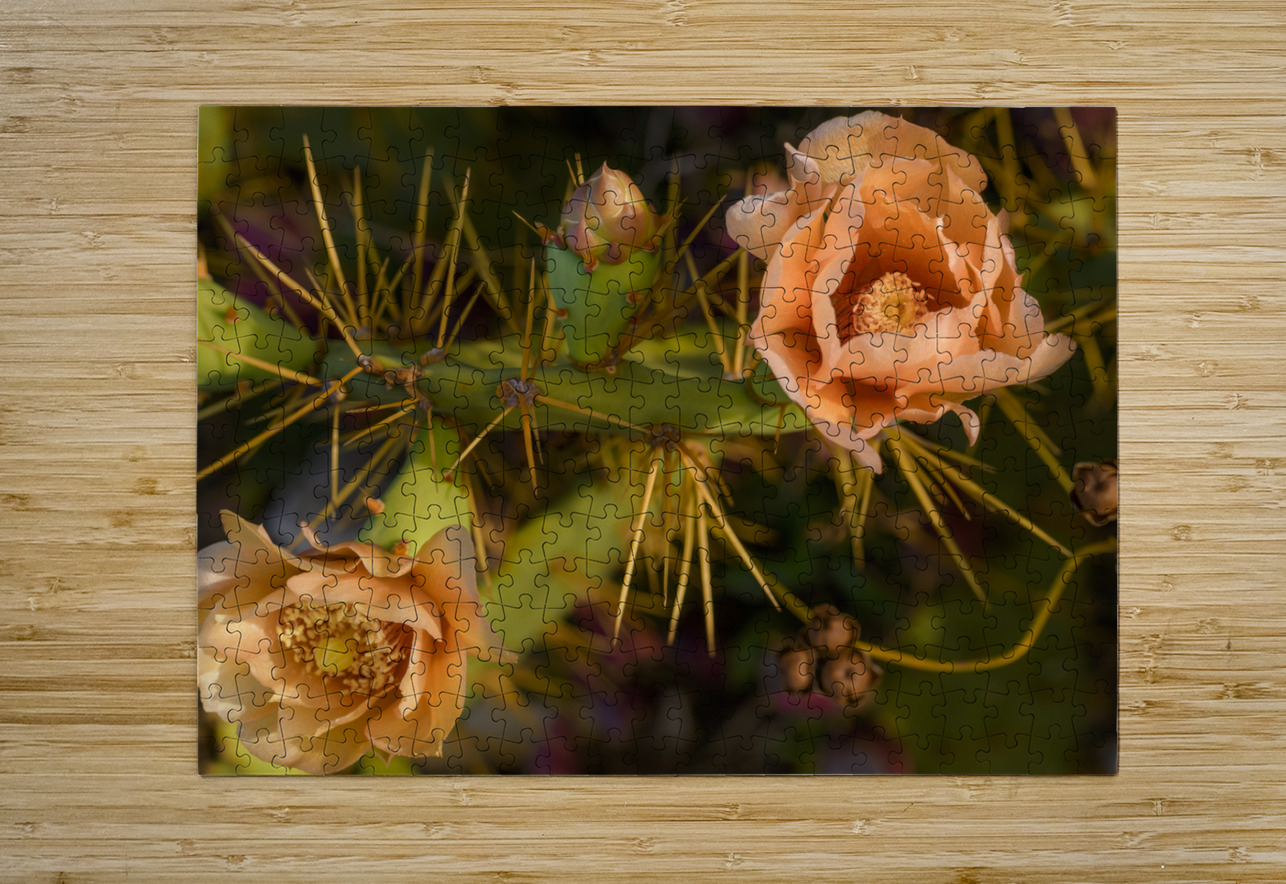 Cuban cactus flower bloom Justin Richard Batten Puzzle printing