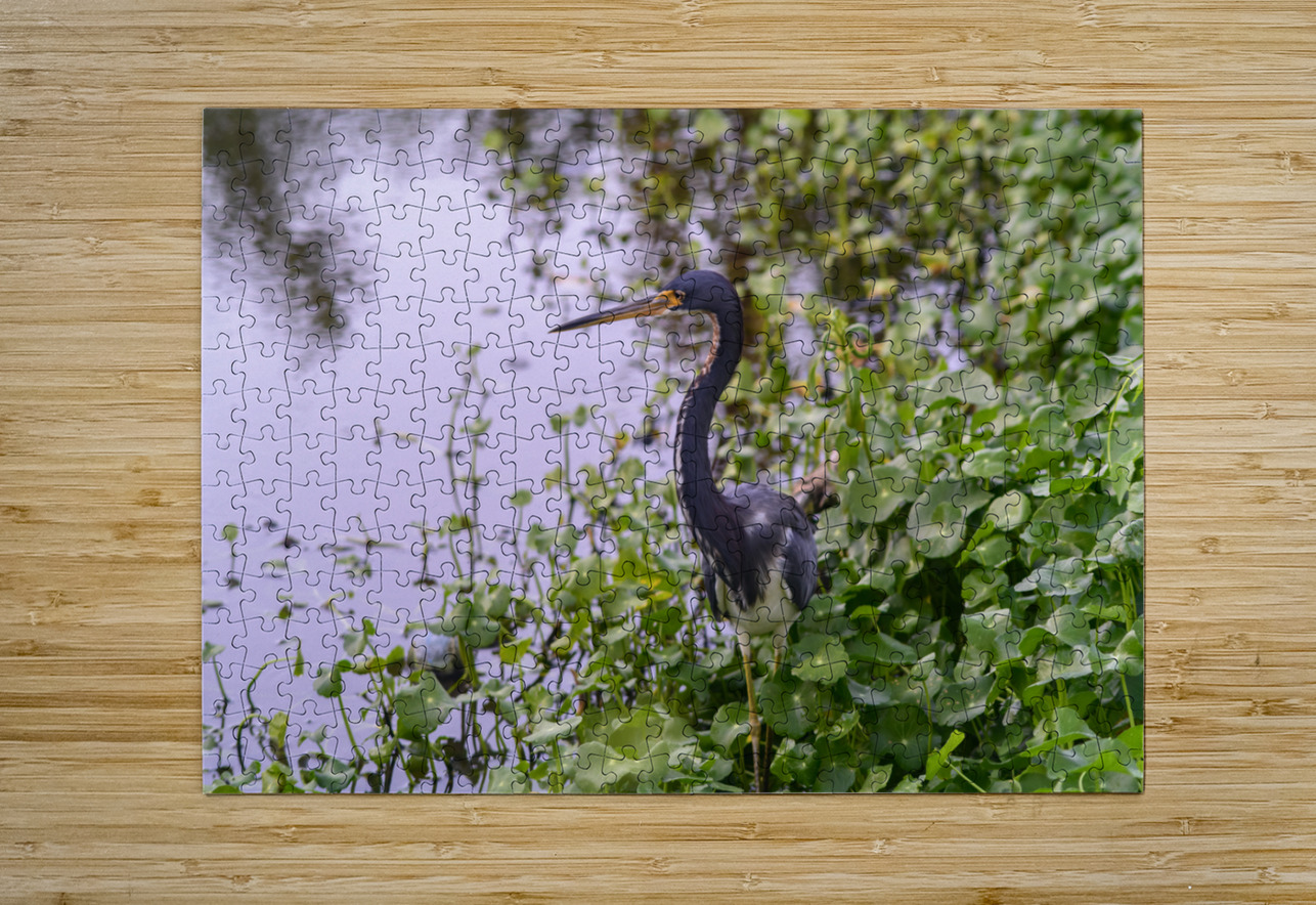 dominican black & white herring Justin Richard Batten Puzzle printing