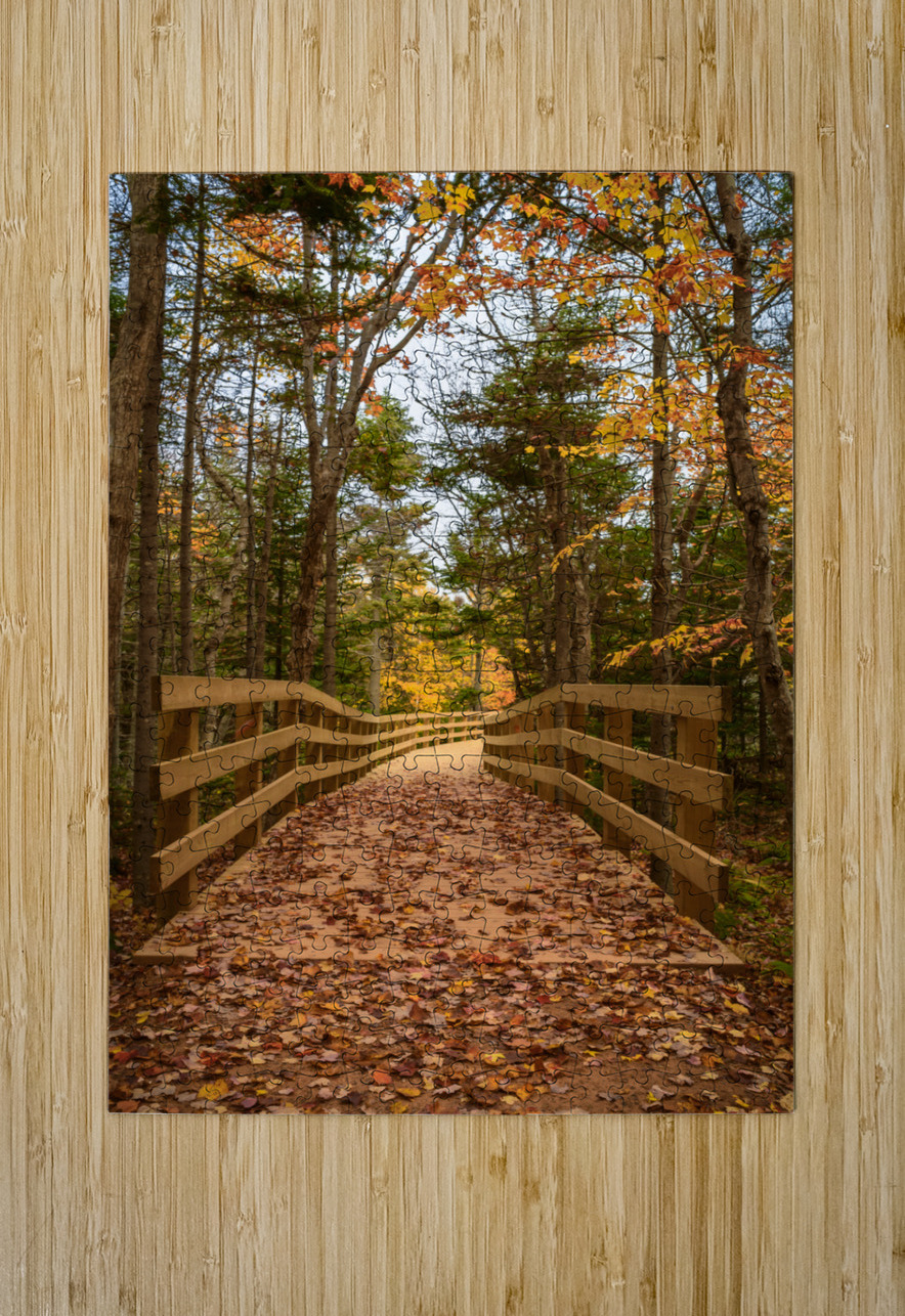 fall colours boardwalk trail Justin Richard Batten Puzzle printing