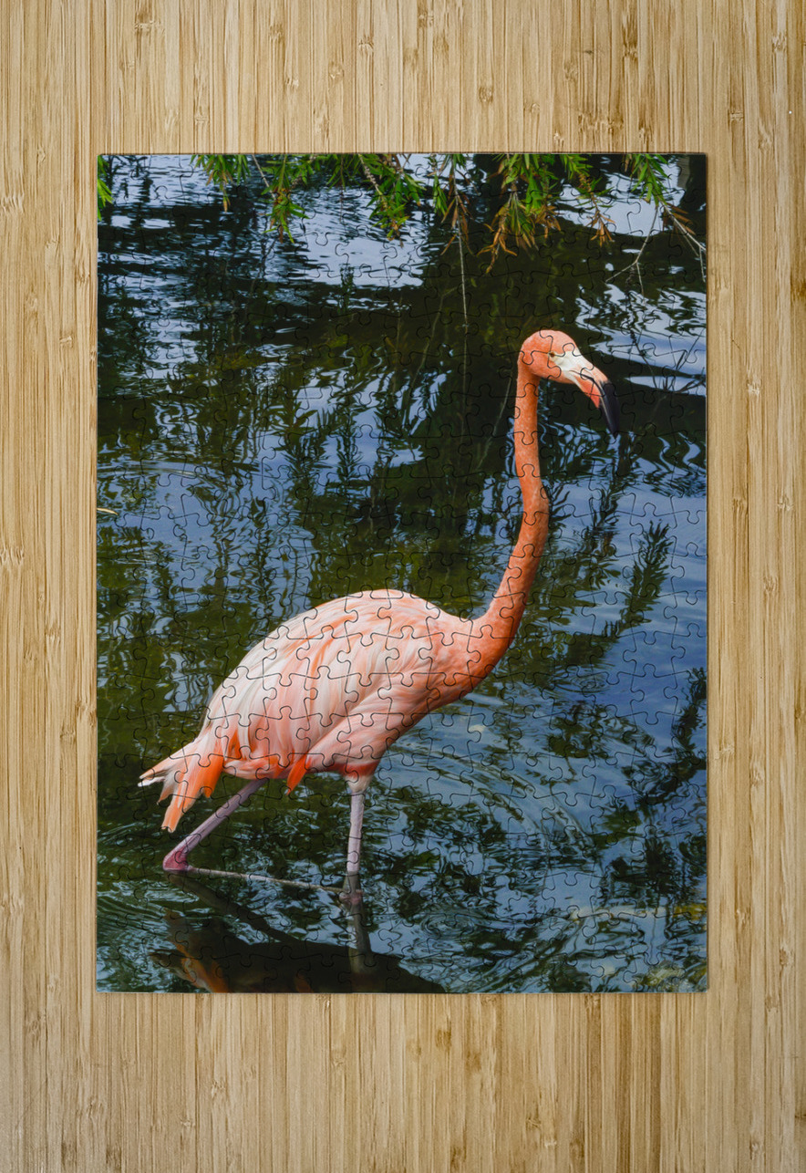 Pink flamingo in pond Justin Richard Batten Puzzle printing