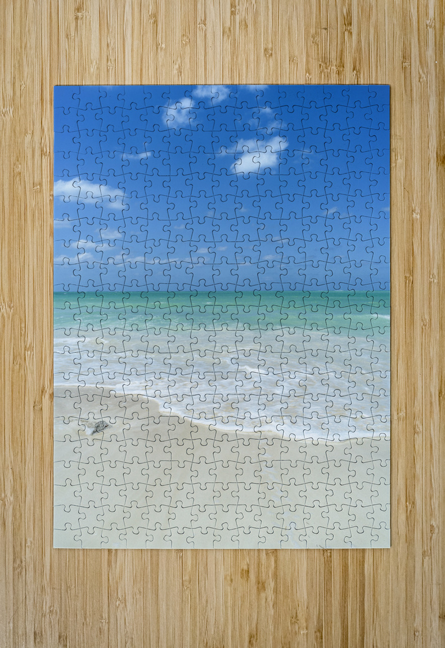 Cuban beach blue aqua Justin Richard Batten Puzzle printing