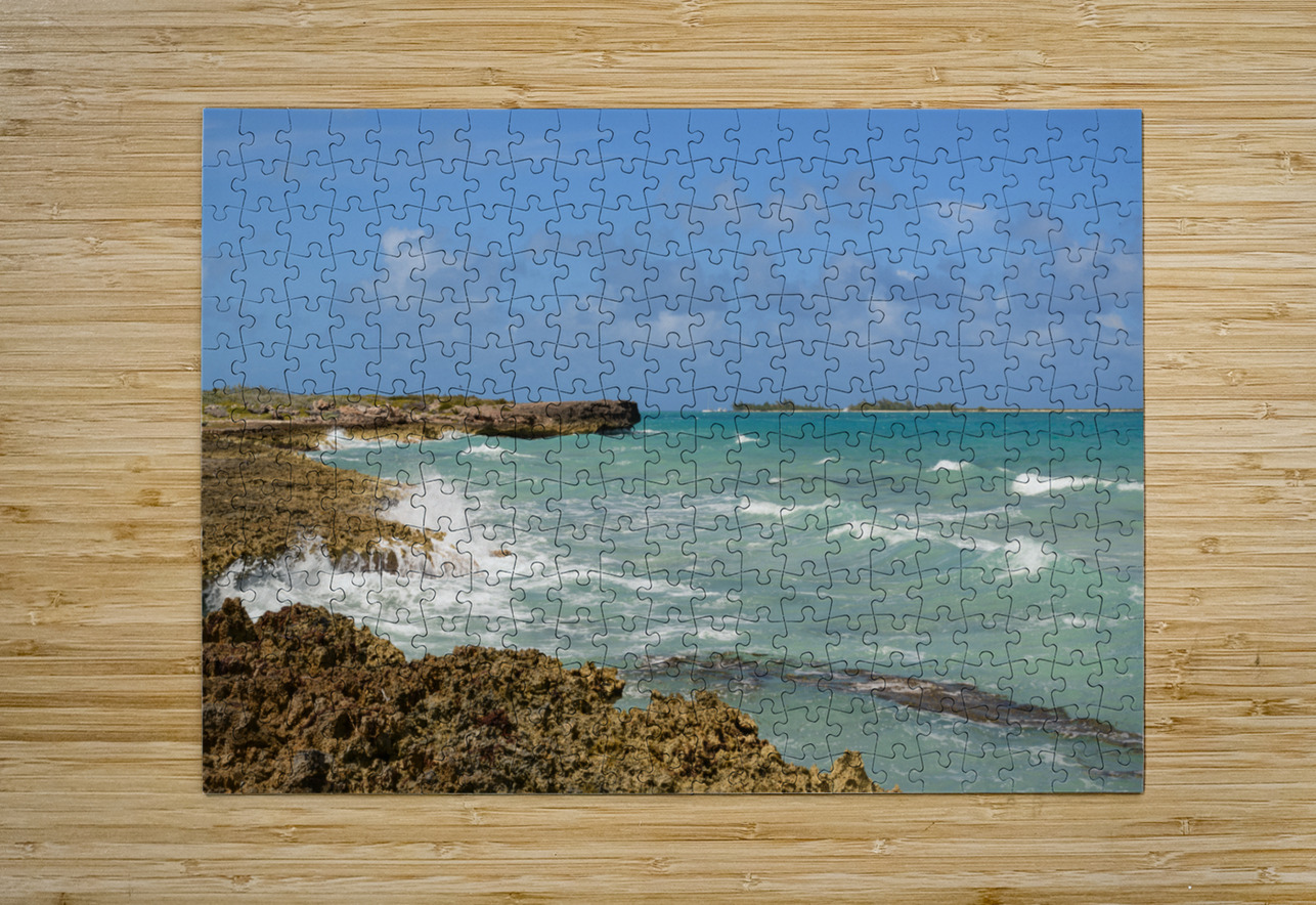 Cuban coral shore ocean view Justin Richard Batten Puzzle printing