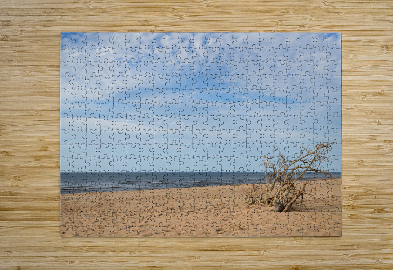 Greenwich driftwood art 3 Justin Richard Batten Puzzle printing